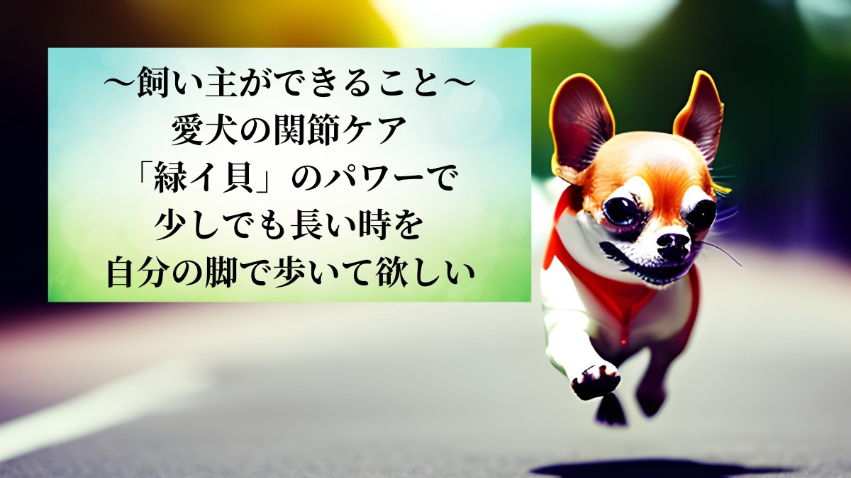 ～飼い主ができること～ 愛犬の関節ケア 「緑イ貝」のパワーで 少しでも長い時を 自分の脚で歩いて欲しい